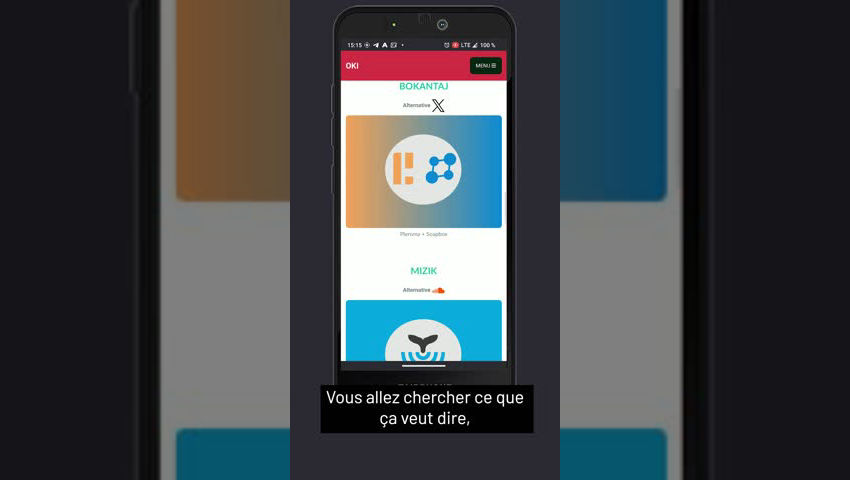 Fediverse o-k-i.net (1/4)