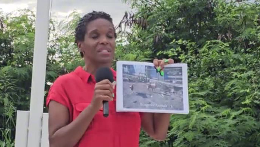 Mettre fin au coût élevé de la vie sur l'île de Saint-Martin
