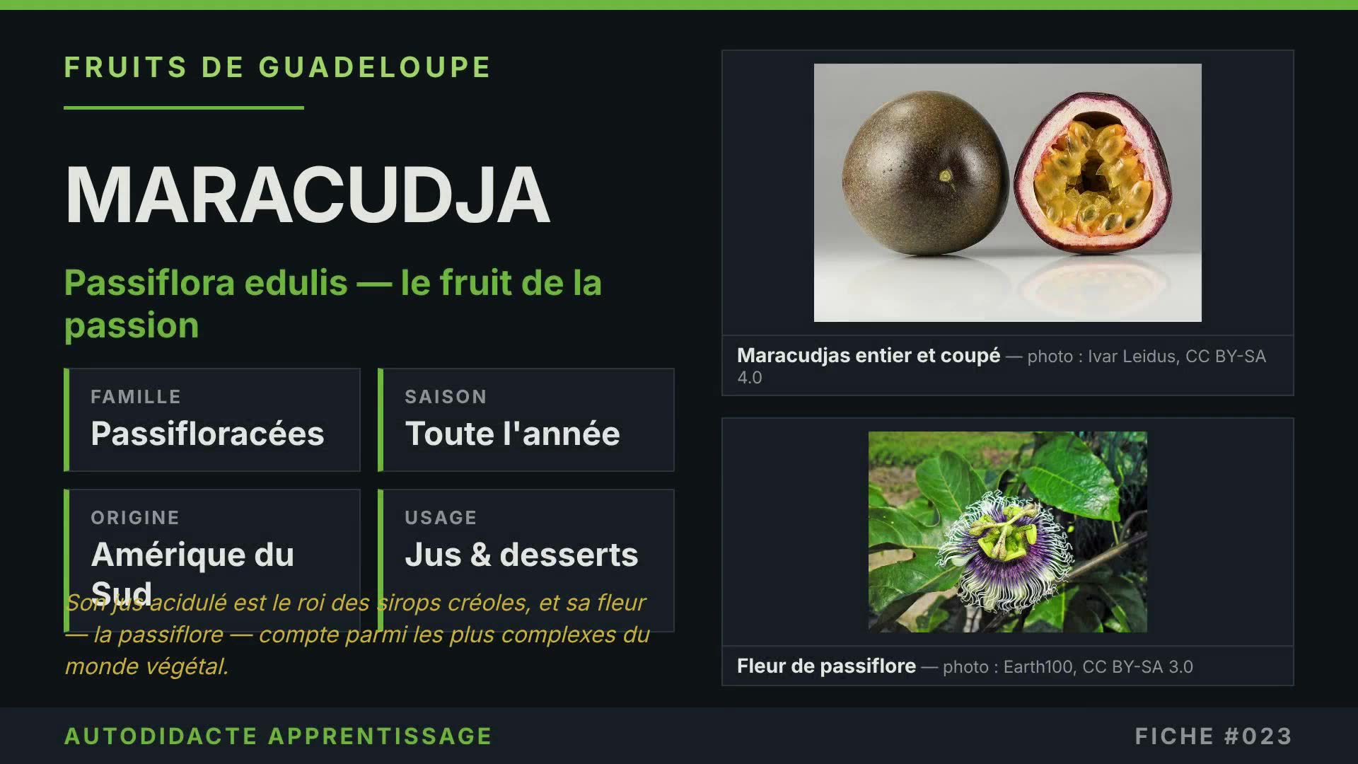 FICHE #023 — MARACUDJA