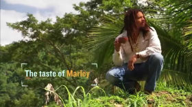 A taste of Marley (Docu. FR) by aktivist_vybz_akv channel
