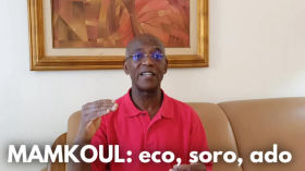 Jeudi, c’est Koulibaly! «Eco, Soro, Cedeao: Ado, un chef d’Etat affaibli et isolé. Levons la tête» by Nathalie Yamb (NON-OFFICIELLE)